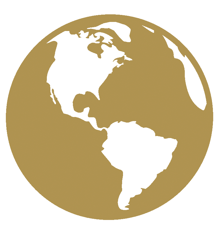 Our Story- Globe Icon Website